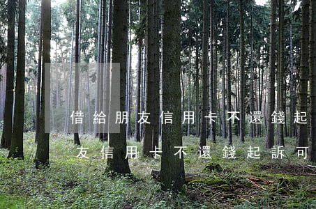 借給朋友信用卡不還錢起訴可以嗎-借給朋友信用卡不還錢起訴可以嗎知乎
