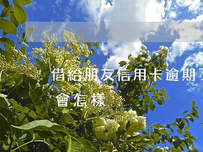 借給朋友信用卡逾期了別慌(借信用卡逾期了會怎樣)