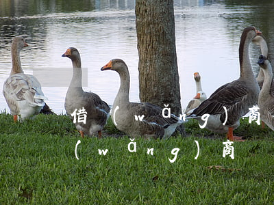 借網(wǎng)商貸還不起會怎么樣（借網(wǎng)商貸還不起）