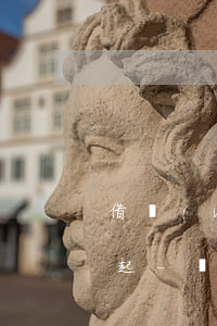 借網(wǎng)貸70萬(wàn)還不起-網(wǎng)貸7萬(wàn)還不上活不下去了