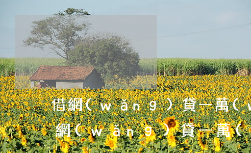 借網(wǎng)貸一萬(wàn)起訴 欠網(wǎng)貸一萬(wàn)會(huì)被起訴嗎
