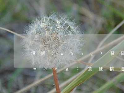 借網(wǎng)貸征信有逾期怎么辦(網(wǎng)貸 征信 逾期)