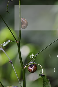 借網(wǎng)貸怎么樣算逾期(網(wǎng)貸怎么才算逾期)