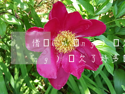 借網(wǎng)貸欠了好多萬(借網(wǎng)貸欠了好多萬)