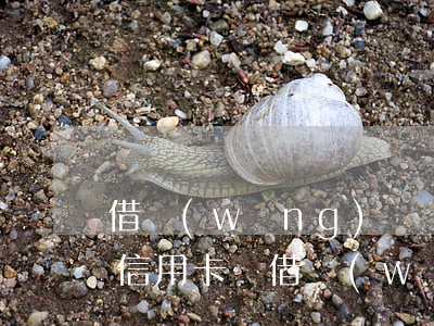 借網(wǎng)貸沒(méi)逾期能辦信用卡嗎(借網(wǎng)貸沒(méi)逾期能辦信用卡嗎)