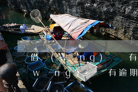 借網(wǎng)貸沒有逾期也還清了(網(wǎng)貸沒有逾期但是就是借不到了)