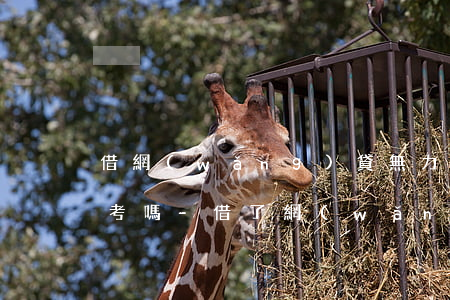 借網(wǎng)貸無力償還會影響孩子高考嗎-借了網(wǎng)貸沒還會影響孩子高考嗎