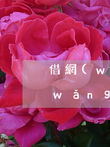 借網(wǎng)貸逾期了報警有用嗎(網(wǎng)貸逾期騷擾電話可以報警嗎)