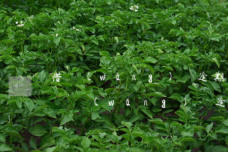 借網(wǎng)貸逾期了還可以辦信用卡嗎(網(wǎng)貸逾期了能辦信用卡嗎)