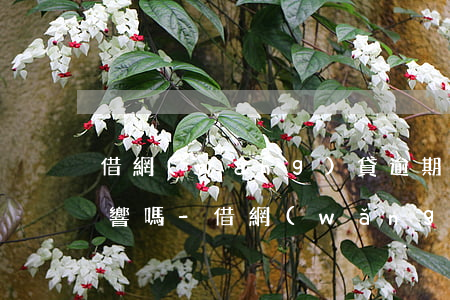 借網(wǎng)貸逾期十天還完了還有影響嗎-借網(wǎng)貸逾期十天還完了還有影響嗎知乎