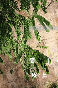 借網(wǎng)貸逾期多久會(huì)找上門(網(wǎng)貸不還多久會(huì)找上門)