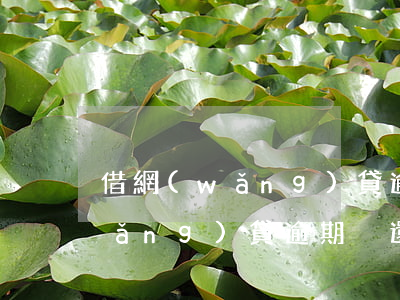 借網(wǎng)貸逾期未還怎么辦(網(wǎng)貸逾期沒還)