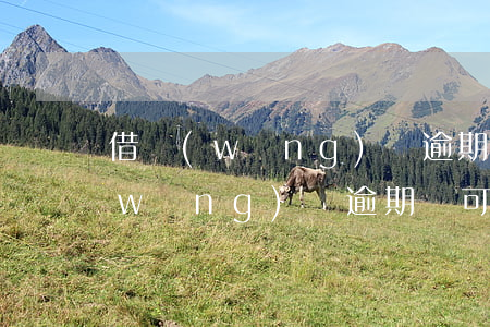 借網(wǎng)貸逾期能辦信用卡嗎(網(wǎng)貸逾期還可以辦信用卡嗎)