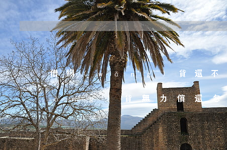 借網(wǎng)貸還不起怎么辦(欠網(wǎng)貸無力償還怎么辦)