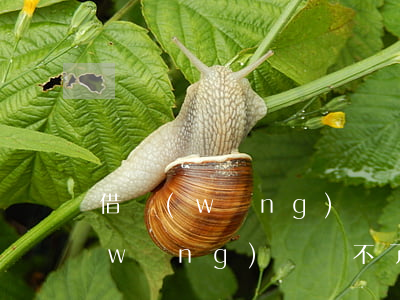 借網(wǎng)貸還不起高利貸(高利網(wǎng)貸還不了了怎么辦?)