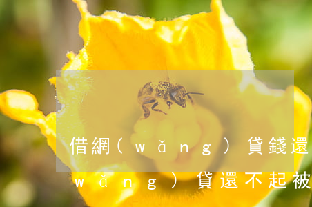 借網(wǎng)貸錢還不上被起訴(欠網(wǎng)貸還不起被起訴了怎么辦)