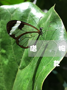 借網貸按時還款對征信有影響嗎-借網貸按時還款對征信有影響嗎知乎