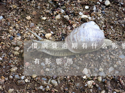 借網貸逾期有什么影響(網貸逾期對銀行貸款有影響嗎)