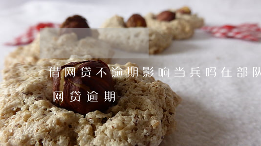 借网贷不逾期影响当兵吗(在部队当兵被发现网贷逾期)
