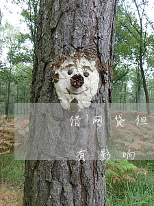 借网贷但是从没有逾期(网贷借款没有逾期过有影响)