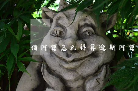 借网贷怎么样算逾期(网贷怎么才算逾期)