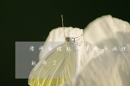 借网贷被起诉了最后法院怎么判的（借网贷被起诉了）