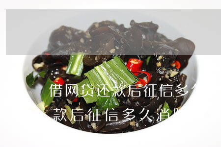 借网贷还款后征信多久消除纪律-借网贷还款后征信多久消除纪律问题