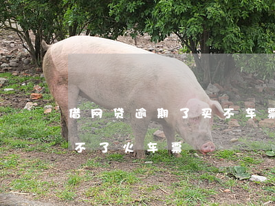 借网贷逾期了买不车票吗(贷款逾期是不是买不了火车票)