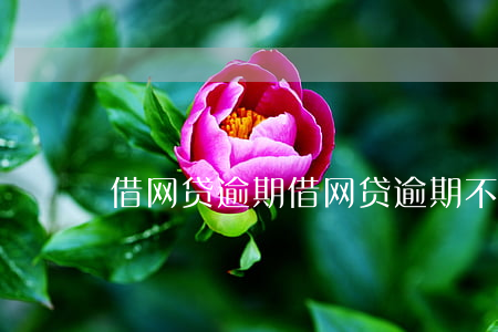借网贷逾期,借网贷逾期不还是什么后果 借网贷逾期,借网贷逾期不还是什么后果