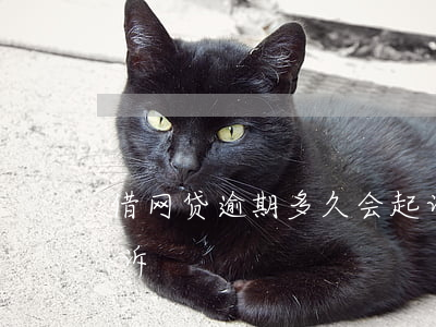 借网贷逾期多久会起诉(网贷逾期什么时候起诉)