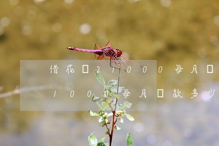 借花唄21000每月還款多少-借花唄21000每月還款多少利息