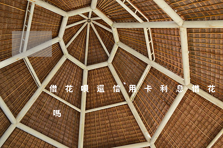 借花唄還信用卡利息(借花唄還信用卡利息高嗎)