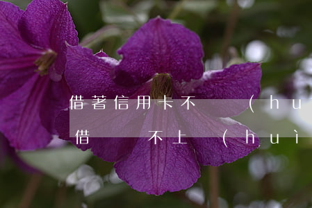 借著信用卡不還會(huì)怎么樣(信用卡借錢還不上會(huì)有什么后果)