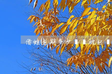 借蛙逾期多少錢會被起訴