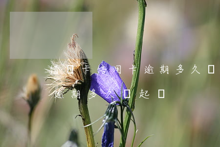 借記卡信用卡逾期多久會起訴(借記卡信用卡逾期多久會起訴)