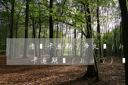 借記卡逾期了多久會(huì)被起訴(貸記卡逾期會(huì)產(chǎn)生什么后果)