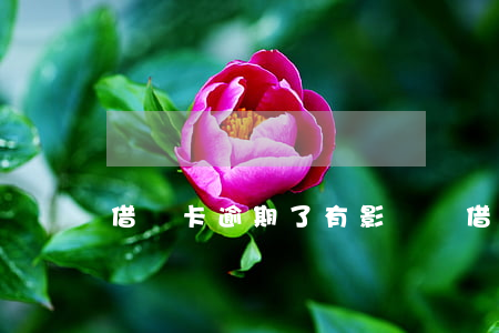 借記卡逾期了有影響嗎 借記卡逾期了有影響嗎