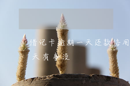 借记卡逾期一天还款(信用卡忘记还款逾期一天有事没?)