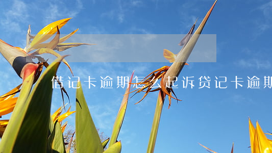 借记卡逾期怎么起诉(贷记卡逾期)