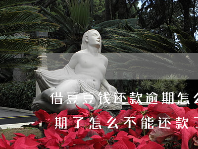 借豆豆钱还款逾期怎么办(豆豆钱最后一期逾期了怎么不能还款了)