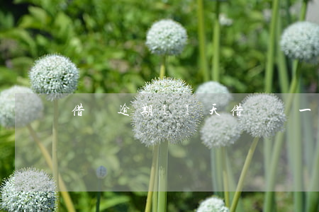 借貝逾期11天(借貝遲一天還算逾期)