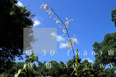 借貸30萬(wàn)逾期270天怎么處理-借貸30萬(wàn)逾期270天怎么處理的