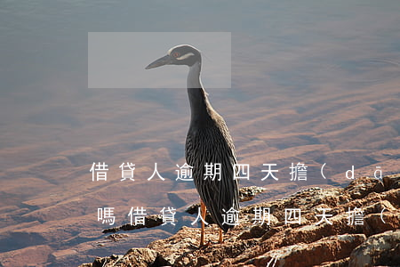 借貸人逾期四天擔(dān)保人會受影響嗎(借貸人逾期四天擔(dān)保人會受影響嗎知乎)