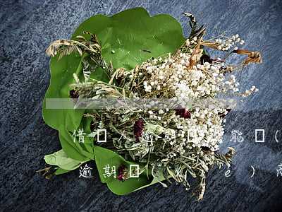 借貸人逾期還款能協(xié)商嗎-貸款逾期協(xié)商還款相關(guān)法律規(guī)定