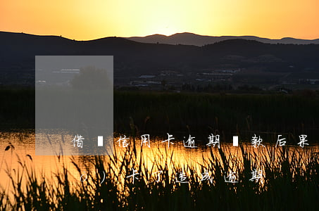 借貸信用卡逾期還款后果(信用卡還錯(cuò)卡了造成逾期)