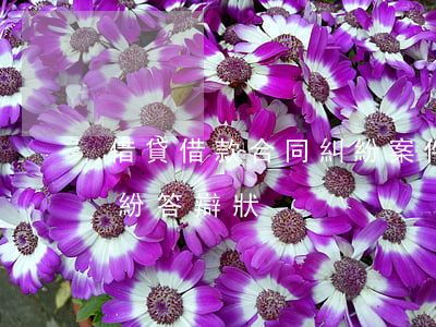 借貸借款合同糾紛案件如何舉證(借款合同糾紛答辯狀)