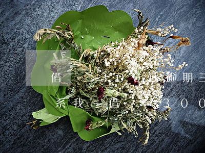 借貸寶3000逾期三年沒聯(lián)系我-借貸寶3000逾期三年沒聯(lián)系我,現(xiàn)在又聯(lián)系我了