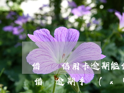 借貸寶信用卡逾期能借到錢嗎(借貸寶跟熟人借錢,逾期手續(xù)費高上征信嗎)
