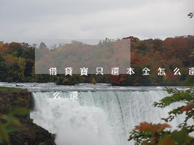 借貸寶只還本金怎么還款（借貸寶只還本金怎么還）