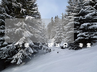 借貸寶可以只還本金嗎